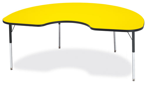 Berries® Kidney Activity Table - 48