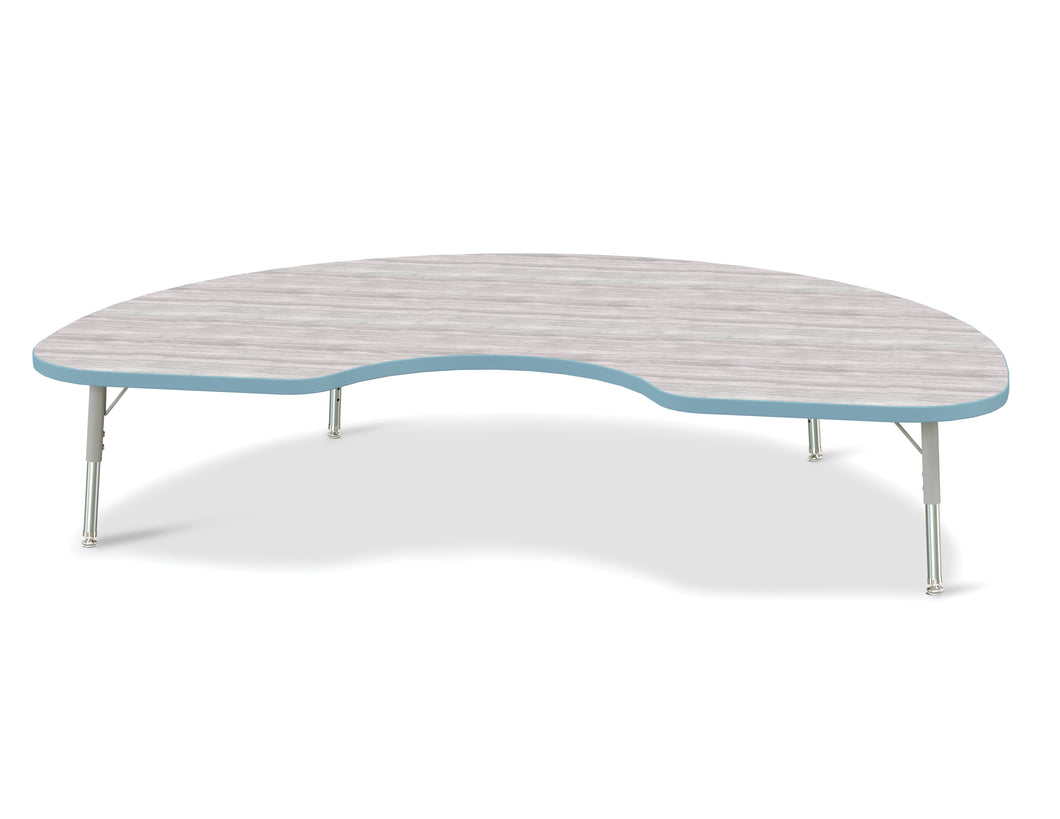 Berries® Kidney Activity Table - 48