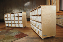 Load image into Gallery viewer, TrueModern® Twenty-Cubbie Shelf - with See-Thru Cubbie-Trays - MMEE Distributors
